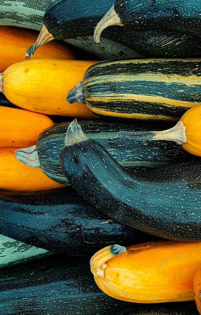 que faire avec des courgettes
