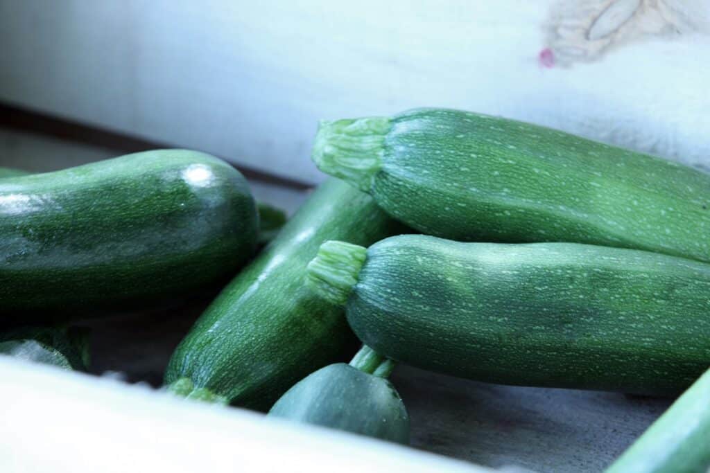 que faire avec des courgettes