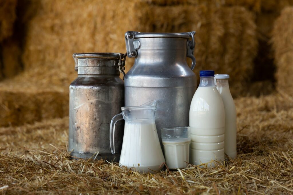 lait cru ou lait pasteurisé