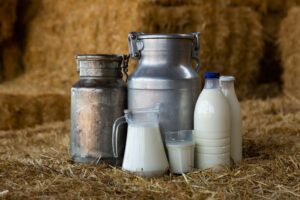 lait cru ou lait pasteurisé